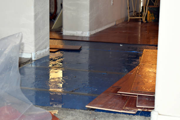 Professional Basement Water Removal technician working in Bedford, TX